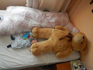 hlidaci_medved