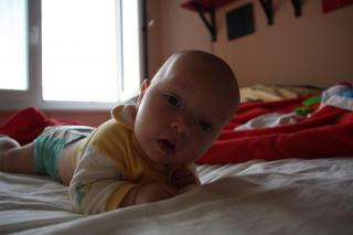 to_me_fotis